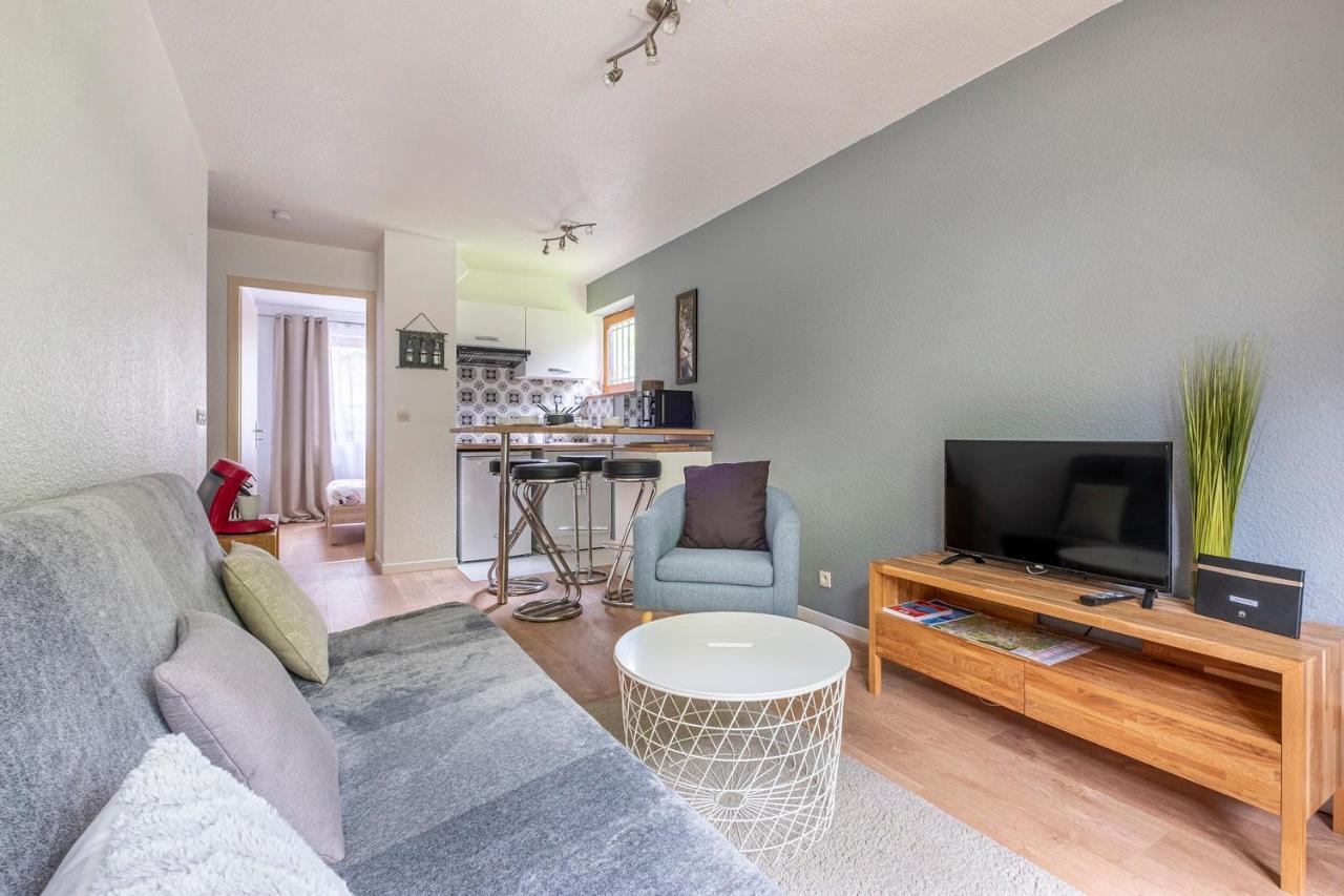 Sapi Happy Sunny Flat With A Garden Apartment Chamonix ภายนอก รูปภาพ